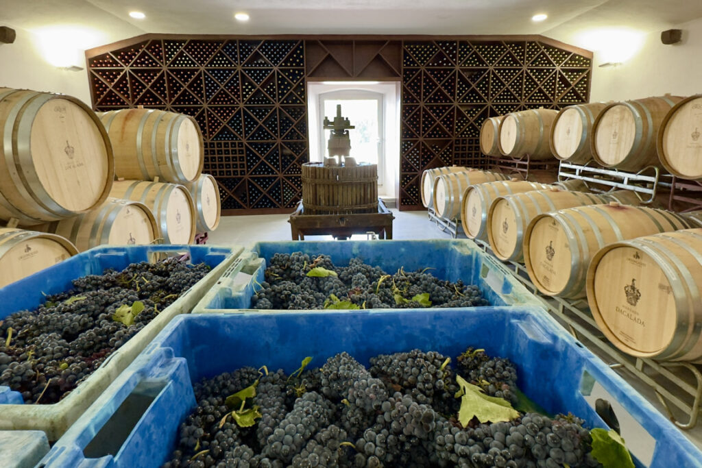 Evora & The Alentejo Table